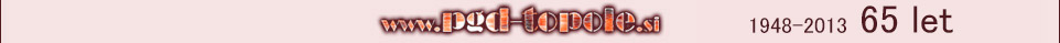Logo PGD Topole