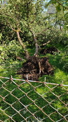 IMG20260611162136