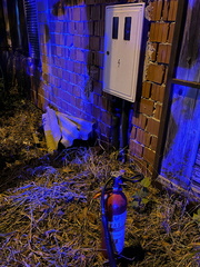image00009