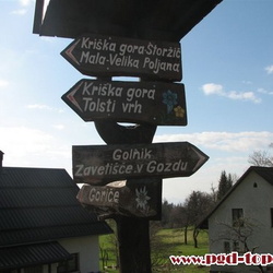 športno društvo Topole