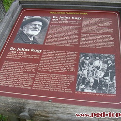športno društvo Topole